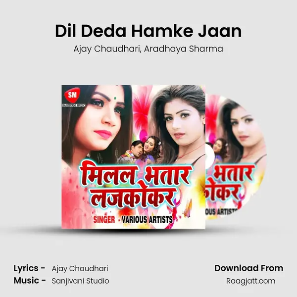 Dil Deda Hamke Jaan - Ajay Chaudhari album cover 