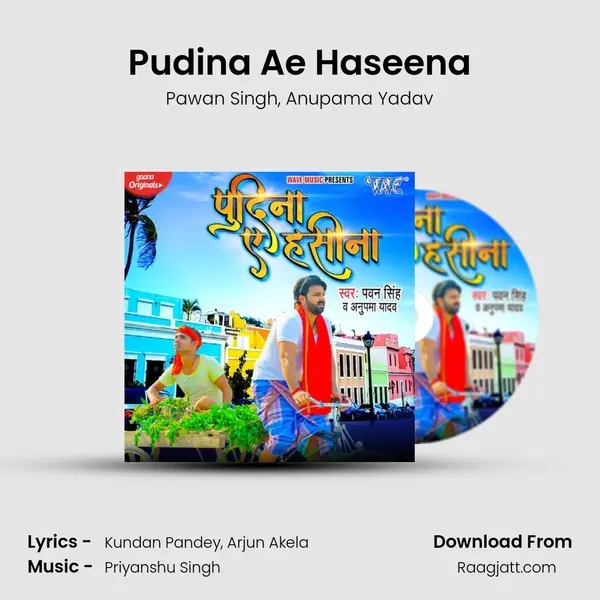 Pudina Ae Haseena - Pawan Singh album cover 