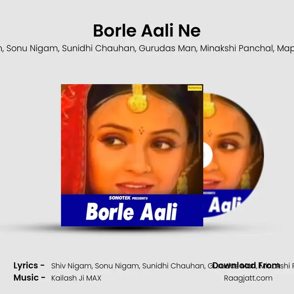 Borle Aali Ne - Shiv Nigam album cover 