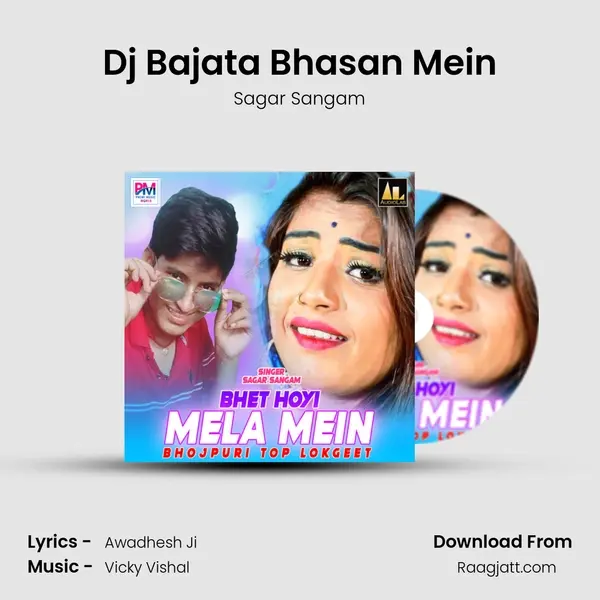 Dj Bajata Bhasan Mein - Sagar Sangam album cover 