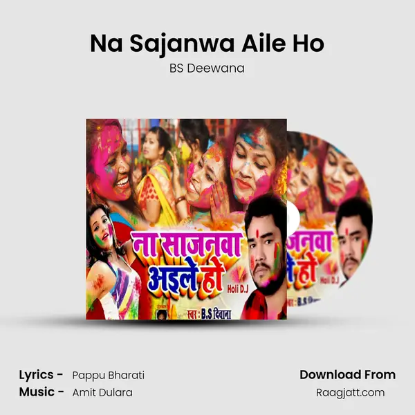 Na Sajanwa Aile Ho - BS Deewana album cover 