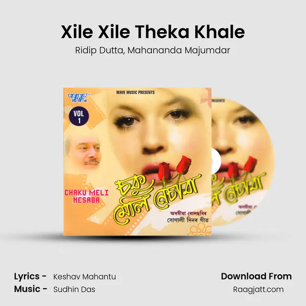 Xile Xile Theka Khale - Ridip Dutta album cover 