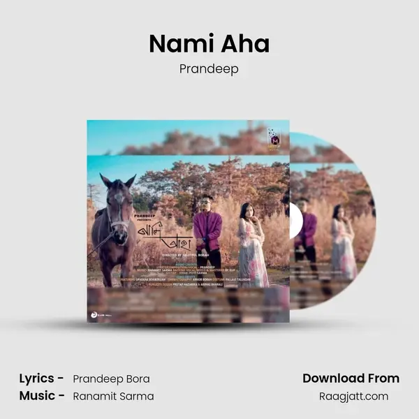 Nami Aha mp3 song