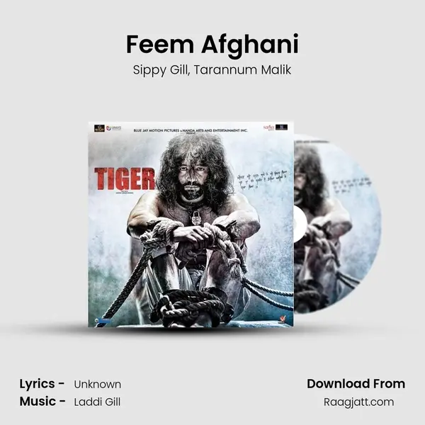 Feem Afghani mp3 song