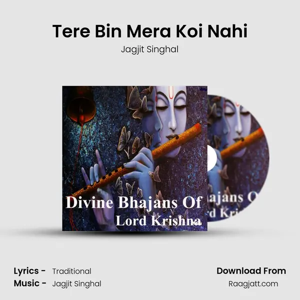 Tere Bin Mera Koi Nahi - Jagjit Singhal album cover 