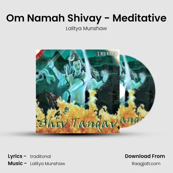 Om Namah Shivay - Meditative - Lalitya Munshaw album cover 