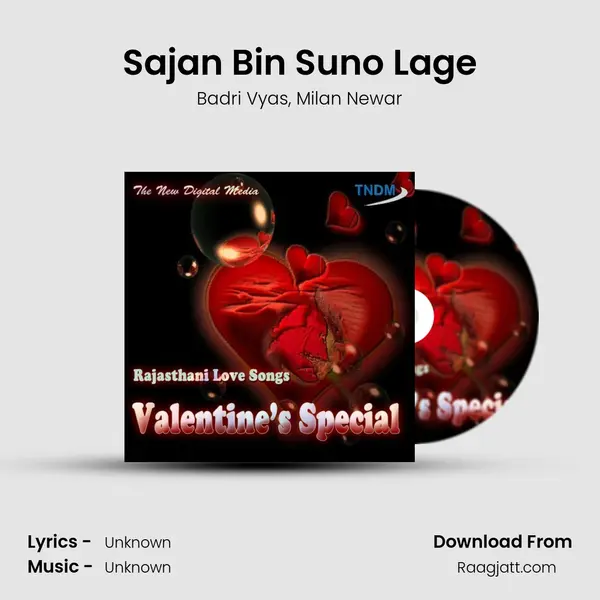 Sajan Bin Suno Lage mp3 song