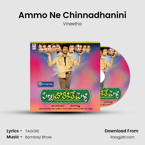 Ammo Ne Chinnadhanini - Vineetha album cover 