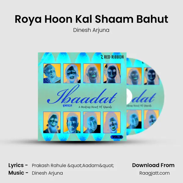 Roya Hoon Kal Shaam Bahut - Dinesh Arjuna album cover 