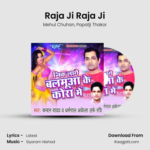 Raja Ji Raja Ji - Mehul Chuhan album cover 