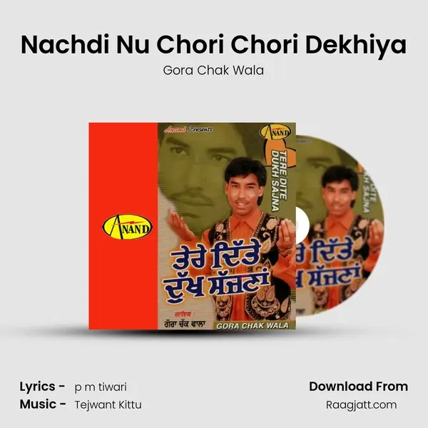 Nachdi Nu Chori Chori Dekhiya mp3 song