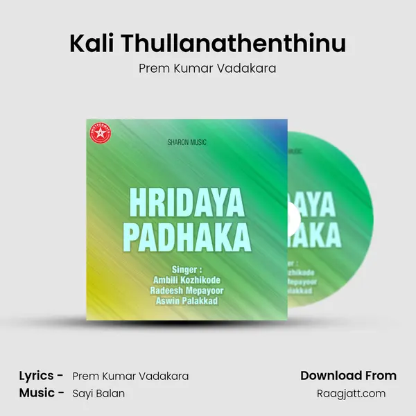 Kali Thullanathenthinu - Prem Kumar Vadakara album cover 