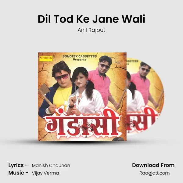 Dil Tod Ke Jane Wali - Anil Rajput album cover 