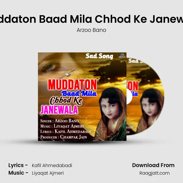 Muddaton Baad Mila Chhod Ke Janewala mp3 song