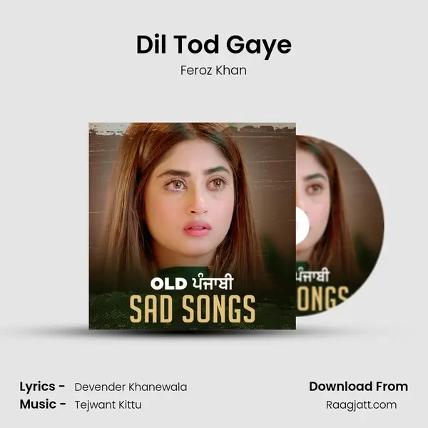 Dil Tod Gaye mp3 song