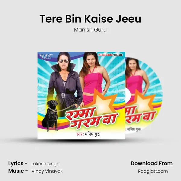 Tere Bin Kaise Jeeu - Manish Guru album cover 