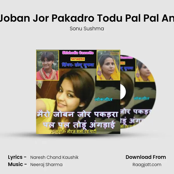 Mero Joban Jor Pakadro Todu Pal Pal Angdayi mp3 song