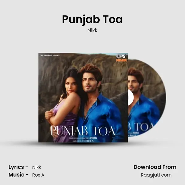 Punjab Toa - Nikk album cover 