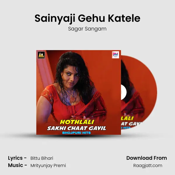 Sainyaji Gehu Katele mp3 song