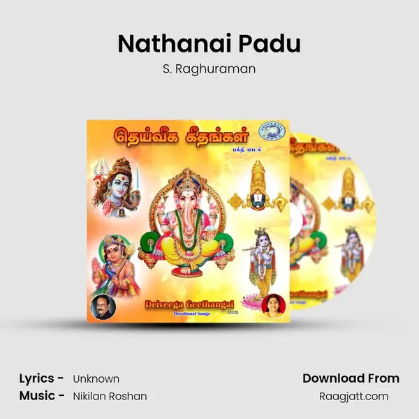 Nathanai Padu - S. Raghuraman album cover 