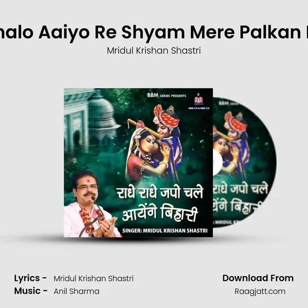 Chalo Aaiyo Re Shyam Mere Palkan Pe mp3 song