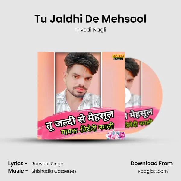 Tu Jaldhi De Mehsool mp3 song