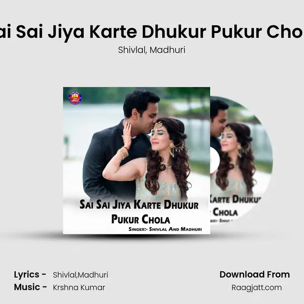 Sai Sai Jiya Karte Dhukur Pukur Chola - Shivlal album cover 