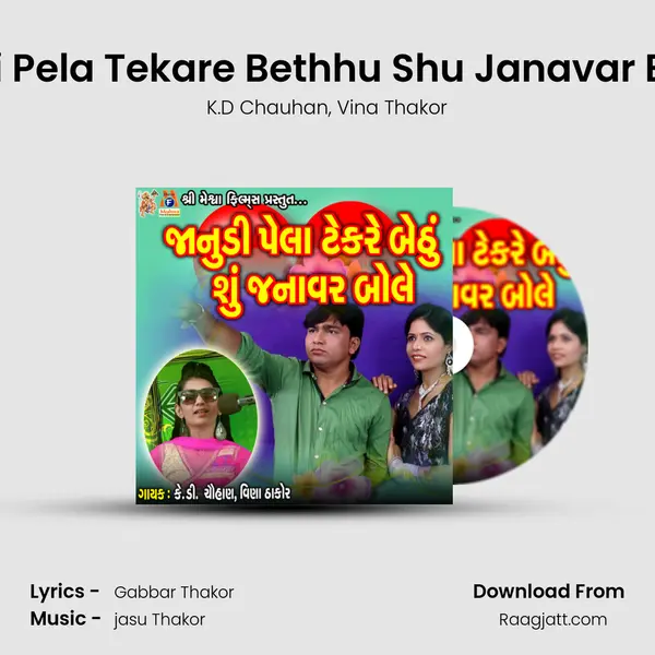 Janudi Pela Tekare Bethhu Shu Janavar Bole Re - K.D Chauhan album cover 