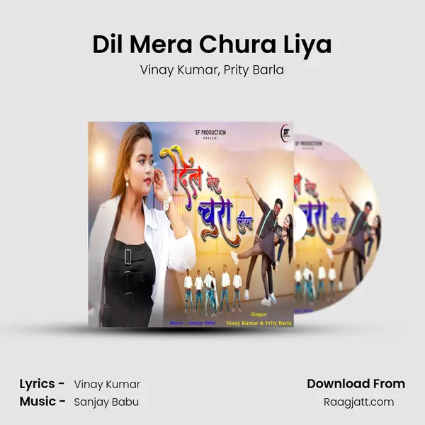 Dil Mera Chura Liya - Vinay Kumar album cover 