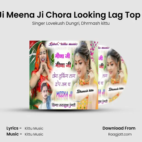 Meena Ji Meena Ji Chora Looking Lag Top Jam Ch mp3 song