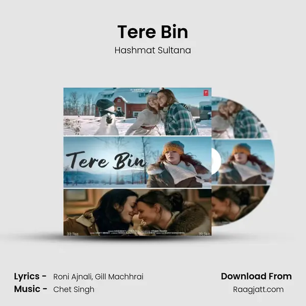 Tere Bin - Hashmat Sultana album cover 