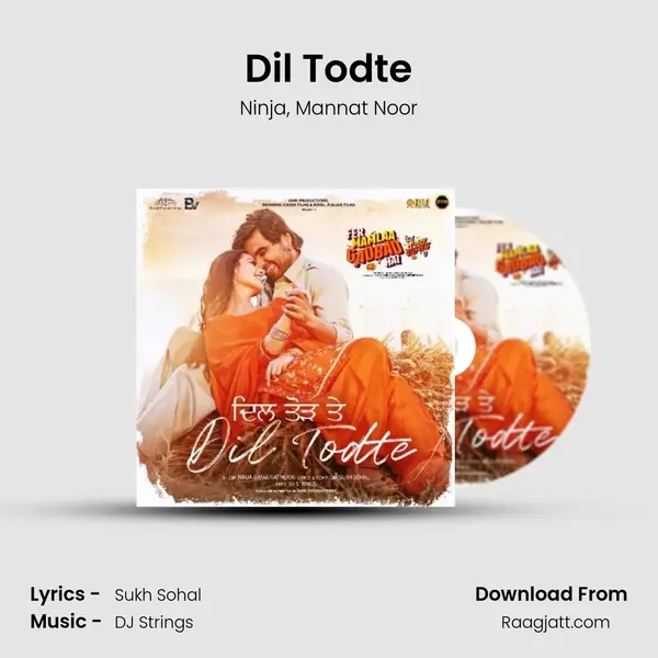 Dil Todte - Ninja album cover 