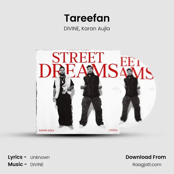 Tareefan - DIVINE album cover 