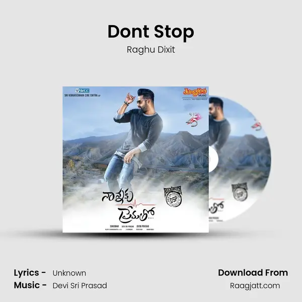 Dont Stop - Raghu Dixit album cover 