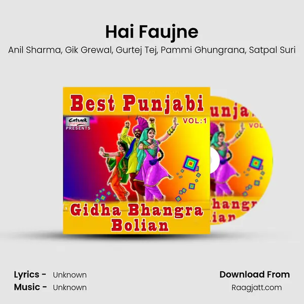 Hai Faujne - Anil Sharma album cover 