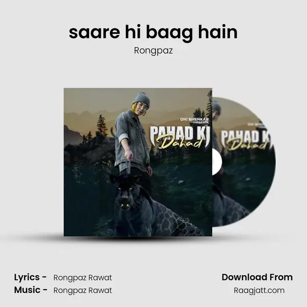 saare hi baag hain - Rongpaz album cover 