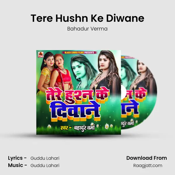 Tere Hushn Ke Diwane mp3 song