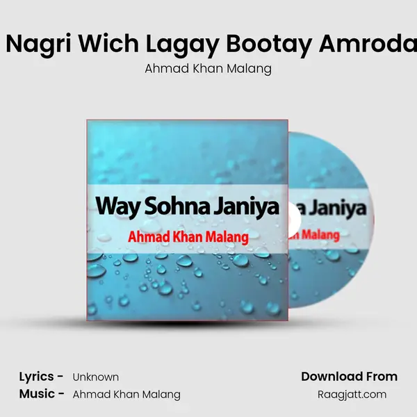 Yar Di Nagri Wich Lagay Bootay Amrodan Day - Ahmad Khan Malang album cover 