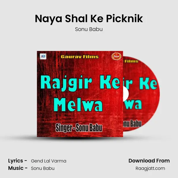 Naya Shal Ke Picknik - Sonu Babu album cover 