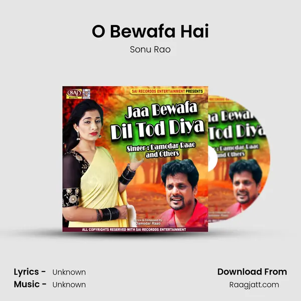 O Bewafa Hai - Sonu Rao album cover 