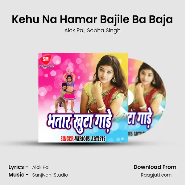 Kehu Na Hamar Bajile Ba Baja - Alok Pal album cover 