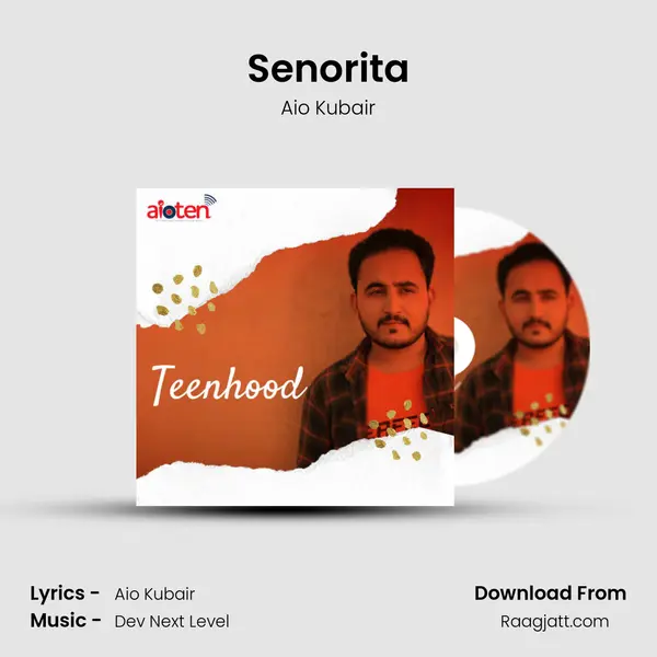 Senorita mp3 song