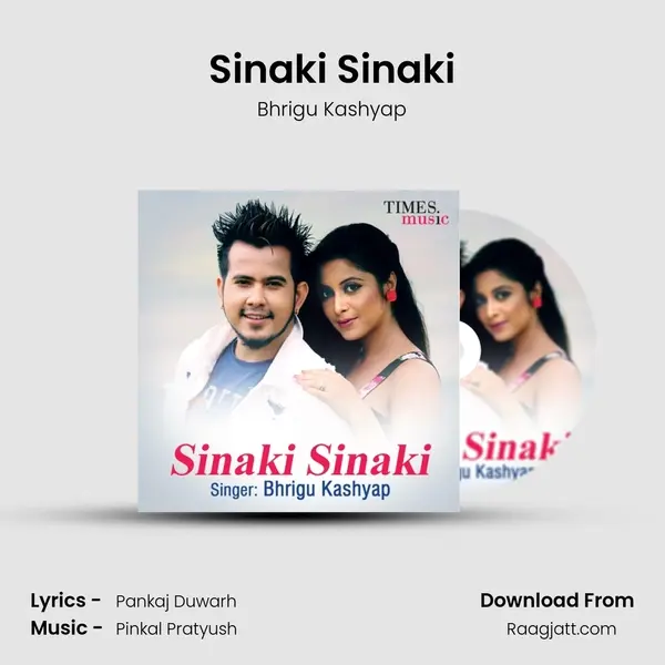 Sinaki Sinaki - Bhrigu Kashyap album cover 