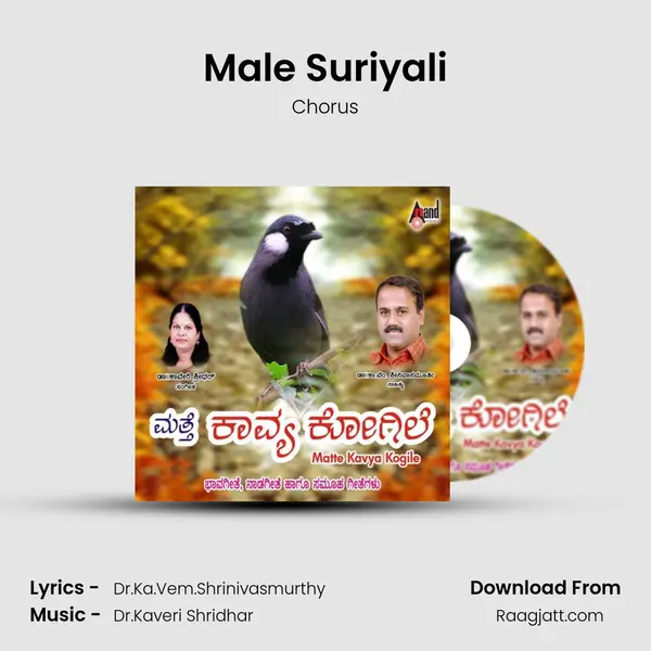 Male Suriyali - Chorus album cover 