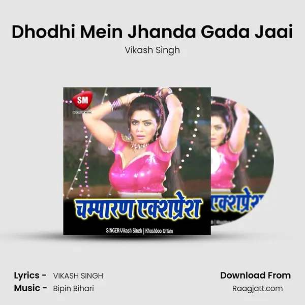 Dhodhi Mein Jhanda Gada Jaai mp3 song