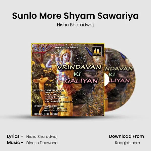 Sunlo More Shyam Sawariya - Nishu Bharadwaj album cover 