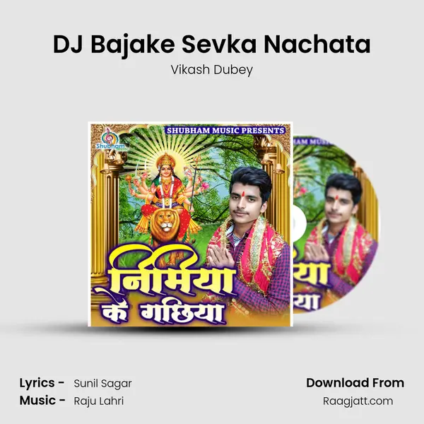 DJ Bajake Sevka Nachata - Vikash Dubey album cover 