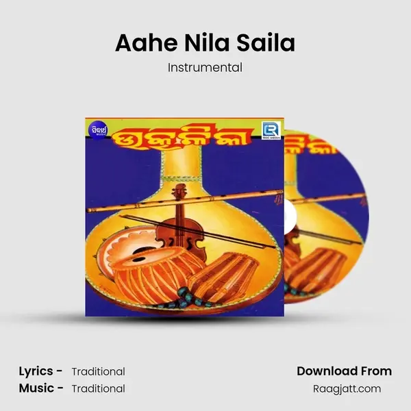 Aahe Nila Saila - Instrumental album cover 