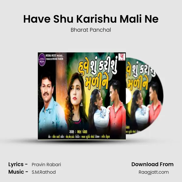 Have Shu Karishu Mali Ne mp3 song