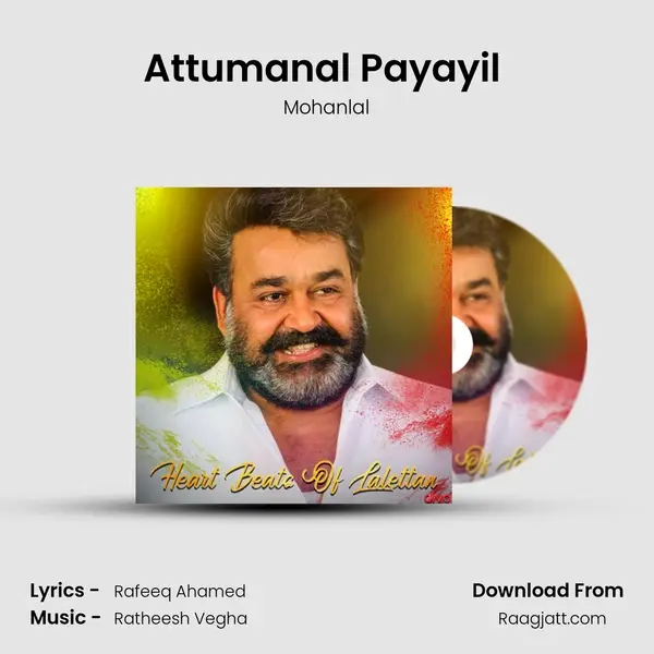 Attumanal Payayil (From - Run Baby Run) mp3 song